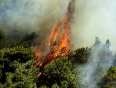 Κέρκυρα: Υπό μερικό έλεγχο η φωτιά στους Ραχτάδες